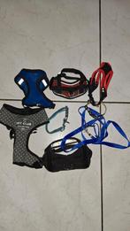 Honden halsbanden, Ophalen of Verzenden, Beeldje of Figuurtje