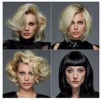 Revamp Progloss Airstyle - 5 in 1 Multi Styler DR-1200 (NIEU, Revamp, Nieuw, Support@revamp.com, Revamp, 41 Crescent Drive
Southborough, TN 02113
USA