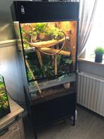 Terrarium, Dieren en Toebehoren, Ophalen, Gebruikt, Terrarium of Paludarium