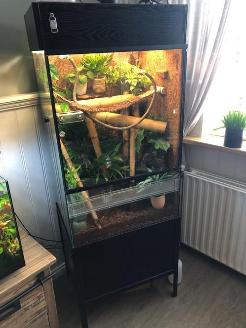 Terrarium, Dieren en Toebehoren, Reptielen en Amfibieën | Toebehoren, Gebruikt, Terrarium of Paludarium, Ophalen