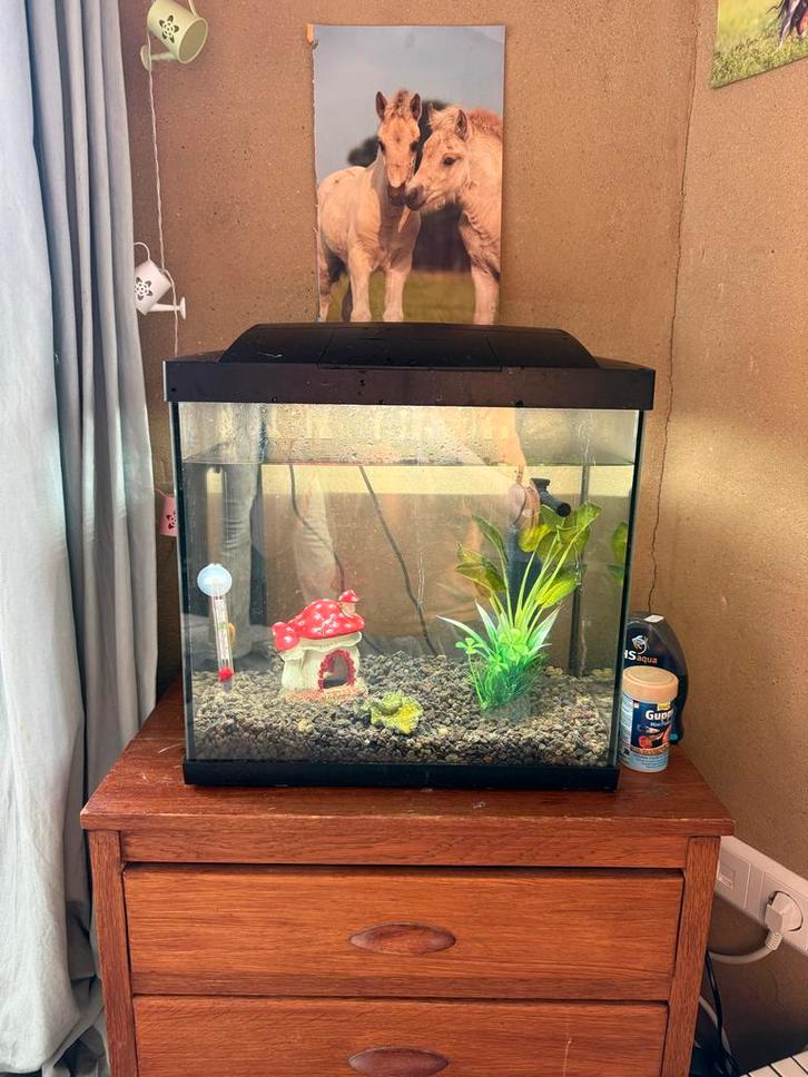 Mooi Aquariaum Set -  Tropische & Koudwater vissen, Dieren en Toebehoren, Vissen | Aquaria en Toebehoren, Zo goed als nieuw, Leeg aquarium