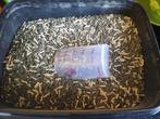 Pavo nervcontrol supplement, Dieren en Toebehoren, Paarden en Pony's | Overige Paardenspullen, Ophalen of Verzenden