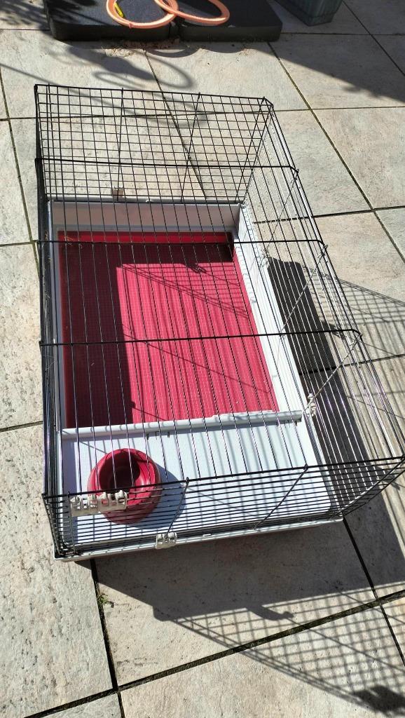 Cavia kooi, Dieren en Toebehoren, Knaagdieren en Konijnen | Hokken en Kooien, Gebruikt, Kooi, Minder dan 60 cm, 75 tot 110 cm