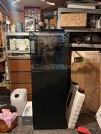 Red Sea Nano Max Cube - Compleet, Dieren en Toebehoren, Vissen | Aquaria en Toebehoren, Ophalen, Zo goed als nieuw, Gevuld zeewateraquarium