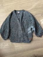 Veste WE 110/116, Ophalen of Verzenden, Zo goed als nieuw, Meisje, Trui of Vest