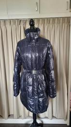 Gaastra Winterjas Maat L, Kleding | Dames, Jassen | Winter, Gaastra, Blauw, Maat 42/44 (L), Ophalen of Verzenden