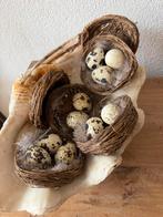 Vogelnestjes met kievits eitjes en veertjes., Diversen, Pasen, Ophalen of Verzenden, Zo goed als nieuw