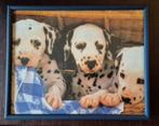 schilderijtje Dalmatiers 25 x 20 cm, Ophalen, Zo goed als nieuw, Wanddecoratie