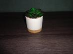 g6) kunst vetplant in potje, hoogte 12 cm, Gebruikt, Ophalen of Verzenden