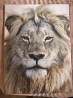 Leeuw canvas 60x80, Huis en Inrichting, Woonaccessoires | Schilderijen, Tekeningen en Foto's, Ophalen of Verzenden, Zo goed als nieuw