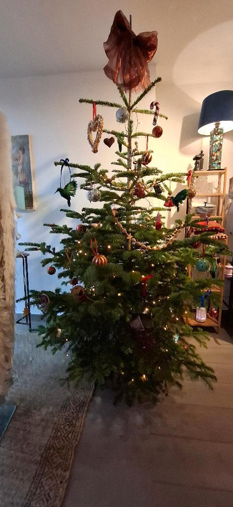 Echte kerstboom met easyfix standaard, Diversen, Kerst, Zo goed als nieuw, Ophalen