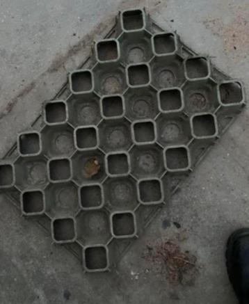 Fijne paddock roosters beschikbaar voor biedingen