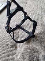Zwart tuigje | Hondentuigje | Klein tuigje, Ophalen of Verzenden, Zo goed als nieuw, Hondenriem