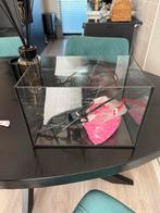 Vissenkom / aquarium, Dieren en Toebehoren, Vissen | Aquaria en Toebehoren, Ophalen, Zo goed als nieuw, Leeg aquarium