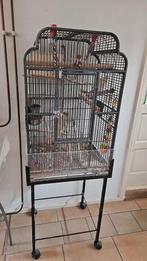 Grote vogel kooi, Dieren en Toebehoren, Vogels | Hokken en Kooien, Ophalen, Metaal, Vogelkooi