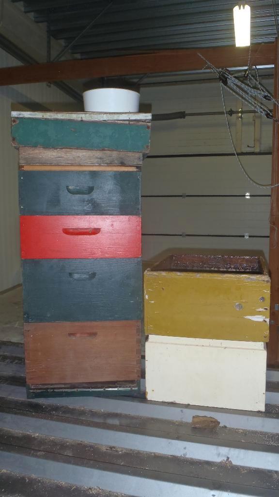 bijenkast, Dieren en Toebehoren, Insecten en Spinnen, Bijen