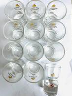 Isolabella Sambuca | 12x borrelglaasjes, set shotglaasjes, Verzamelen, Glas en Borrelglaasjes, Ophalen, Zo goed als nieuw, Borrel- of Shotglas