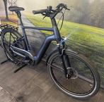 Pegasus Strong Evo met 750WH | Bosch CX Motor | Framemaat 63, Fietsen en Brommers, Elektrische fietsen, Overige merken, Ophalen of Verzenden