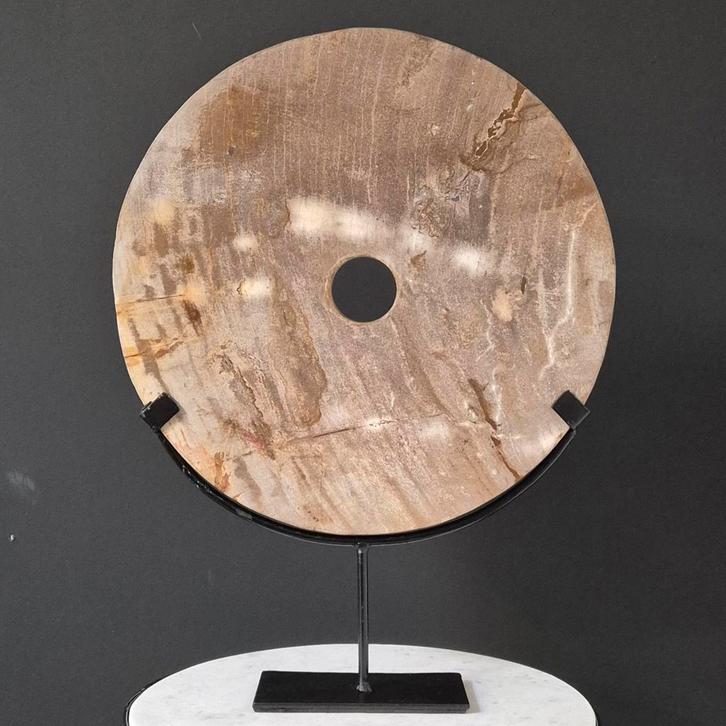 versteend hout op standaard rond, Verzamelen, Mineralen en Fossielen, Ophalen of Verzenden