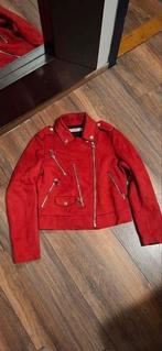 Rode Mango Jasje - Stijlvol en Trendy, Mango, Ophalen of Verzenden, Zo goed als nieuw, Jasje