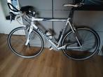 Racefiets Koga Miyata maat L, Ophalen, Overige materialen, Gebruikt, Overige maten