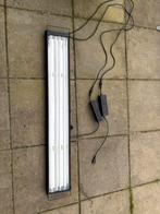 T5 aquarium verlichting 120cm, Ophalen, Gebruikt, Verlichting of Verwarming