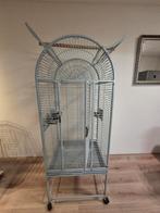 Vogel/ Papegaaien kooi Te koop, Ophalen, Zo goed als nieuw, Metaal, Vogelkooi