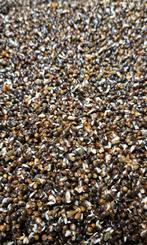 Hennep super kiem top aas voor karper, Ophalen of Verzenden, Nieuw, Overige typen