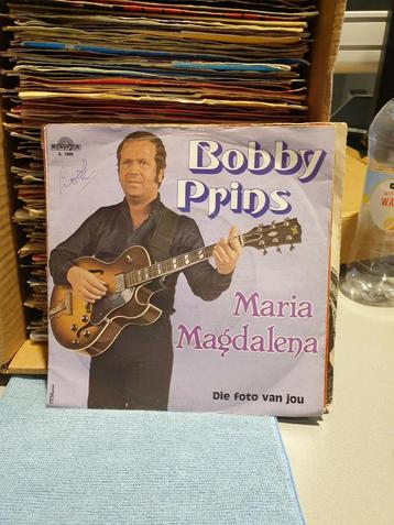 Bobby Prins - Maria Magdalena (f1) beschikbaar voor biedingen