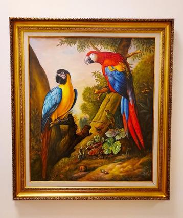 Tropische vogels-Alfonso Moreno beschikbaar voor biedingen