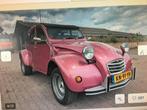 Citroën 2CV 0.6 1981, 602 cc, 2CV, Overige kleuren, 29 pk