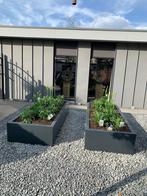 Plantenbakken vierkant en rechthoekig in elke maat, Verzenden, Nieuw, Metaal, 30 tot 60 cm