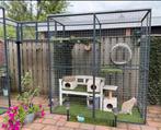 Mooie grote kattenren met hoge tunnel, Dieren en Toebehoren, Katten-accessoires, Ophalen, Gebruikt