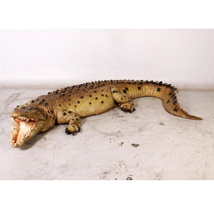 Crocodile mouth open 12 ft – Krokodil beeld Lengte 343 cm, Verzamelen, Dierenverzamelingen, Nieuw, Overige typen, Ophalen