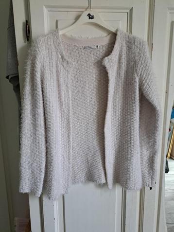 vestje (Miss Etam) beschikbaar voor biedingen