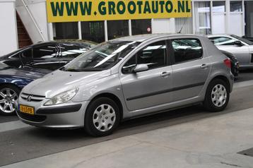Peugeot 307 1.6-16V XT NAP, Airco, Cruise control, Stuurbekr beschikbaar voor biedingen
