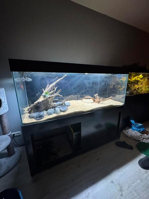 Groot Aquarium 750 L voor Tropische vissen of Zee Aquarium, Dieren en Toebehoren, Vissen | Aquaria en Toebehoren, Zo goed als nieuw