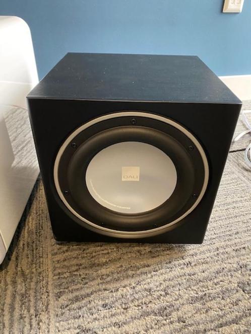 Dali: E-9F subwoofer - Satijn Zwart (demo), Audio, Tv en Foto, Luidsprekers, Gebruikt, Subwoofer, 120 watt of meer, Overige merken