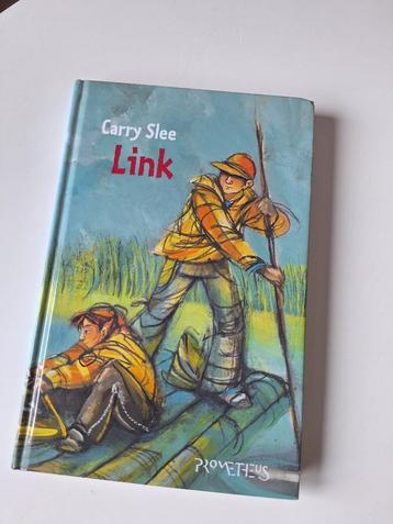 Carry Slee -Link- beschikbaar voor biedingen