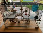 Hamsterhok, Dieren en Toebehoren, Minder dan 60 cm, Gebruikt, Ophalen of Verzenden, Muis
