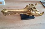 Gouden kaaiman schedel crocodile skull merk sooka handgemaak, Ophalen of Verzenden