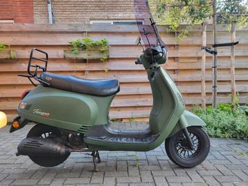 GTS toscane pure beschikbaar voor biedingen