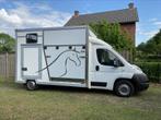 Paardenvrachtwagen B-rijbewijs Fiat Ducato, Dieren en Toebehoren, Paarden en Pony's | Trailers en Aanhangwagens, Ophalen, Overige typen