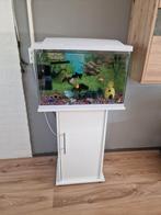 Superfish aqua 70L, Ophalen, Zo goed als nieuw