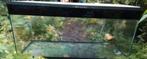 Aquarium 1 meter  40 cm geschikt als hamster kooi, Gebruikt, Muis, Hok, 75 tot 110 cm