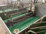 Kraamhokken gezocht, Dieren en Toebehoren, Schapen, Geiten en Varkens, Schaap