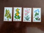 DUITSLAND 1978; serie BLOEMEN, Verzenden, BRD, Postfris