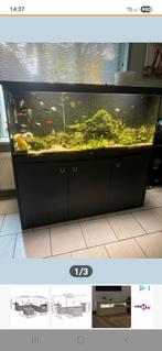 Gezocht aquarium bak van min.1,50, Dieren en Toebehoren, Vissen | Aquaria en Toebehoren, Ophalen of Verzenden, Zo goed als nieuw