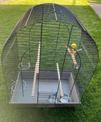 Vogelkooi. Zgan!, Ophalen, Zo goed als nieuw, Metaal, Vogelkooi