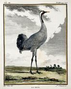 Antieke gravure van een kraanvogel daterend uit 1779, Antiek en Kunst, Kunst | Etsen en Gravures, Ophalen of Verzenden